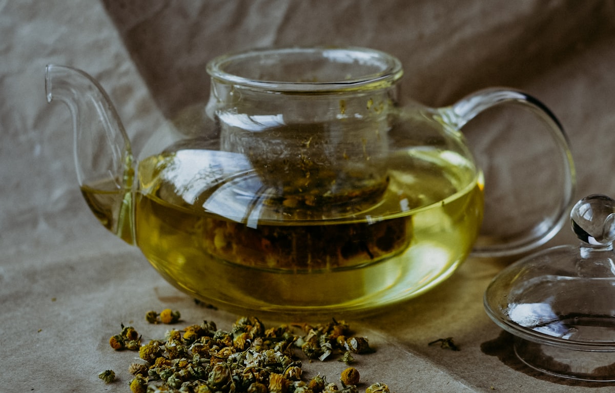 Extractos de plantas para bienestar digestivo